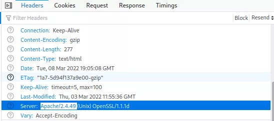 PvIB CTF PlzHackme challenge showing server version