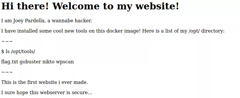 PvIB CTF PlzHackme challenge showing challenge homepage