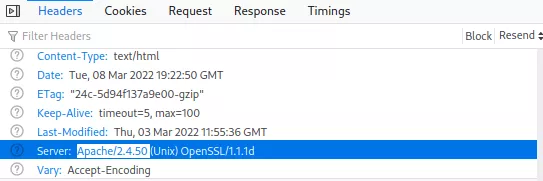 PvIB CTF PlzHackme2 web server version