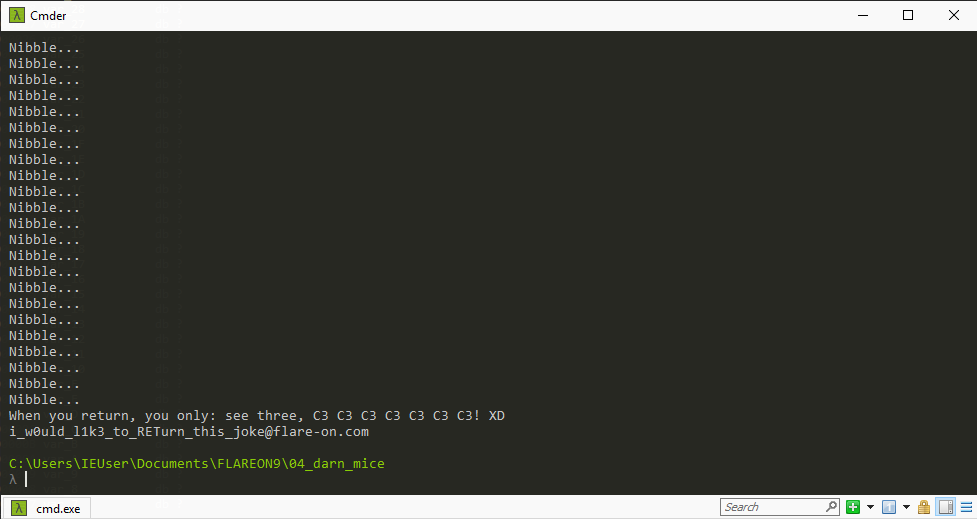 Flare-on 9 darn_mice flag