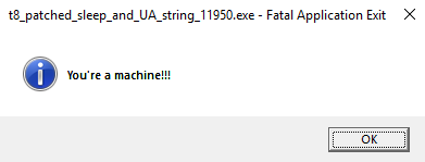 Flare-on 9 T8 application error